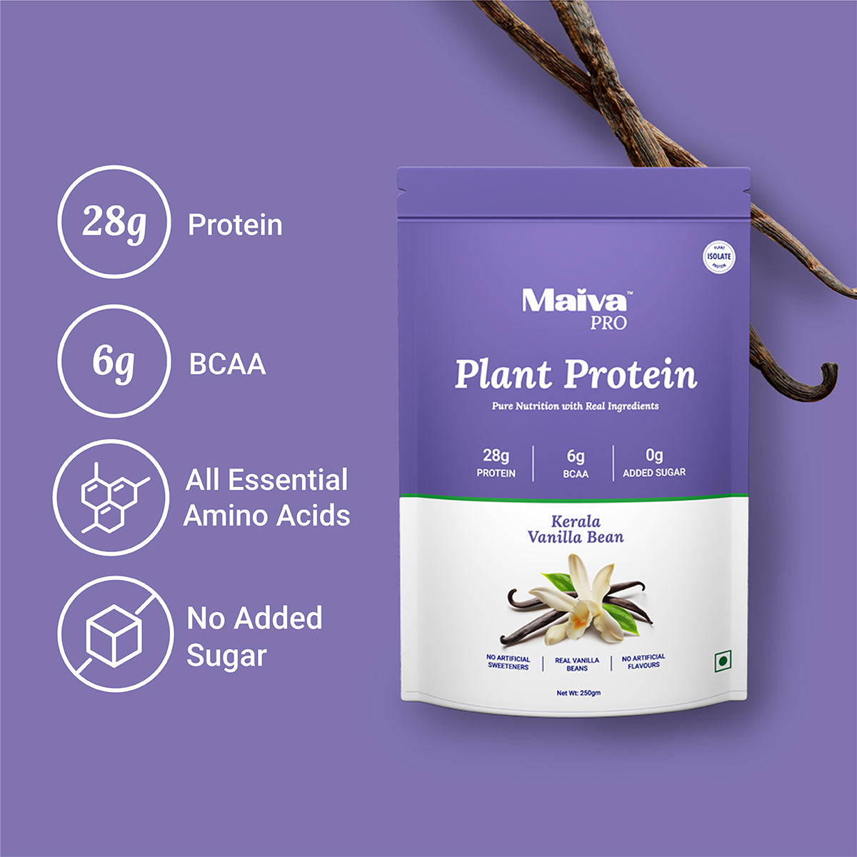 Kerala Vanilla Bean Plant Protein