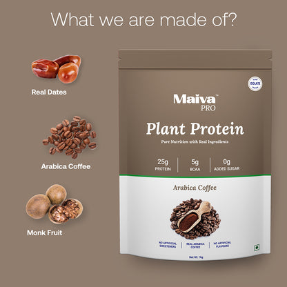 Arabica Coffee Plant Protein