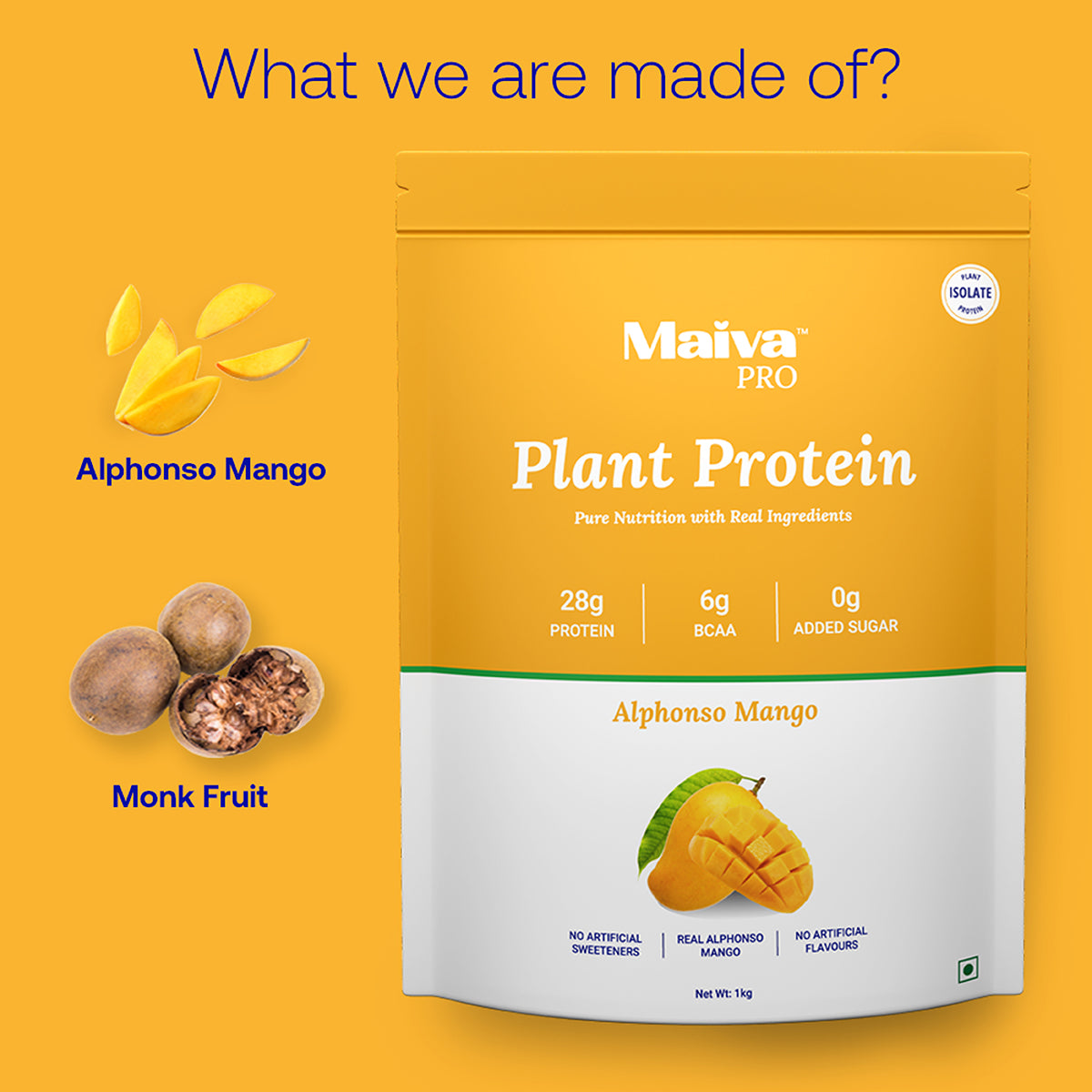 Alphonso Mango Plant Protein