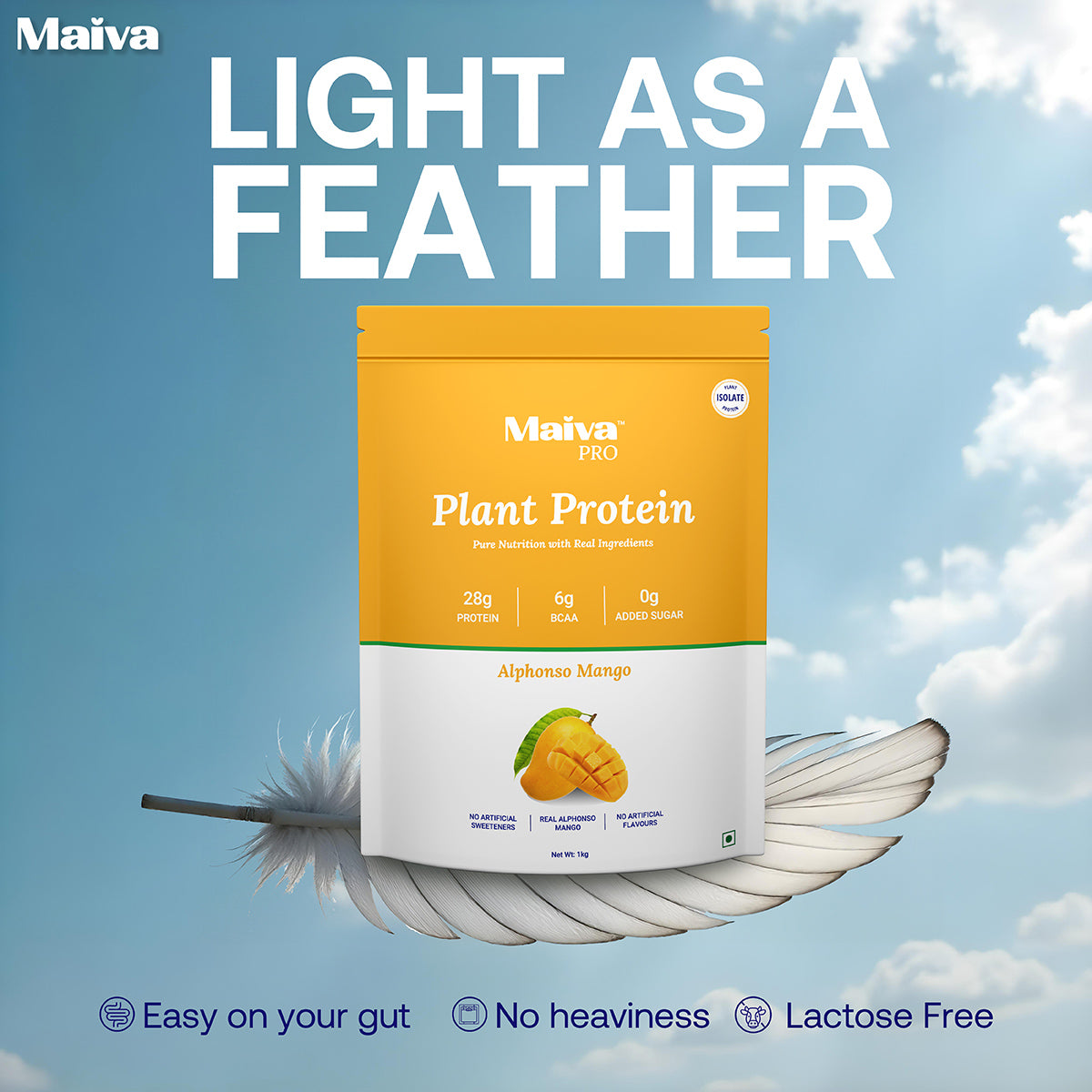 Alphonso Mango Plant Protein